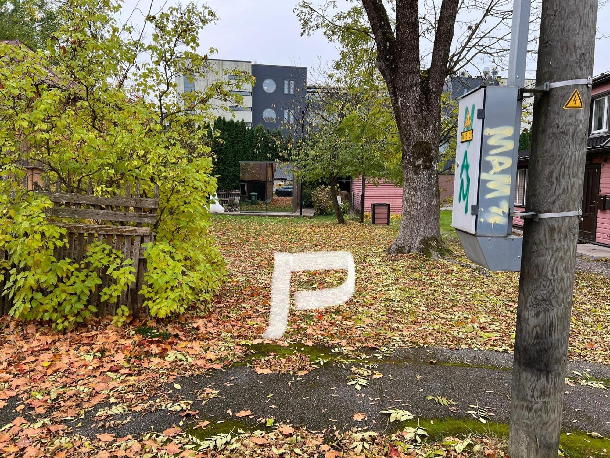Mirror House Roosi 21 Villa Pärnu Exteriör bild